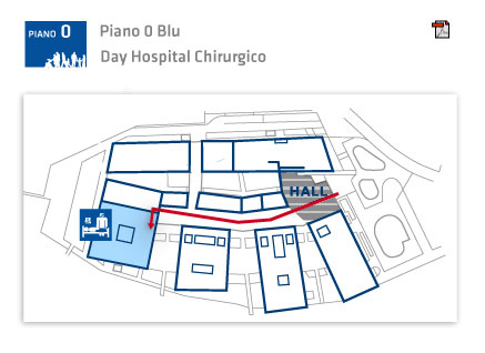 mappa posizionamento Day surgery