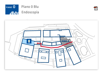 mappa endoscopia