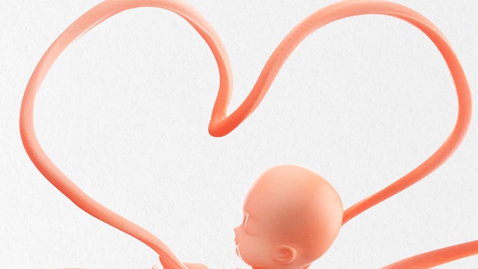 Rinnovata convenzione con Cord Blood Bank