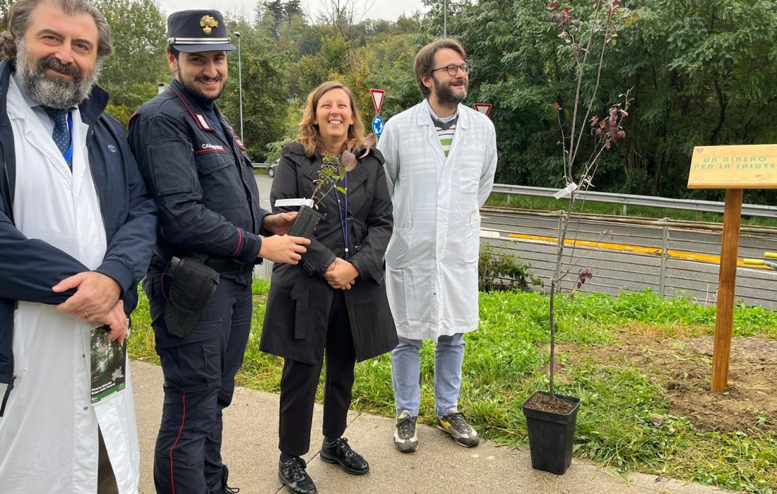 Un albero per la salute x sito_social